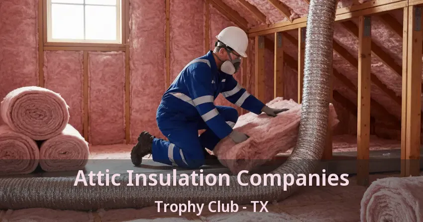 Attic Insulation Companies Trophy Club - TX