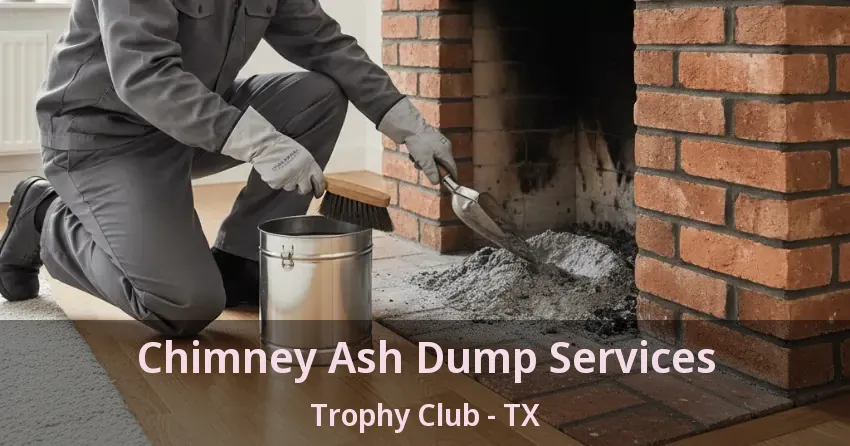 Chimney Ash Dump Services Trophy Club - TX