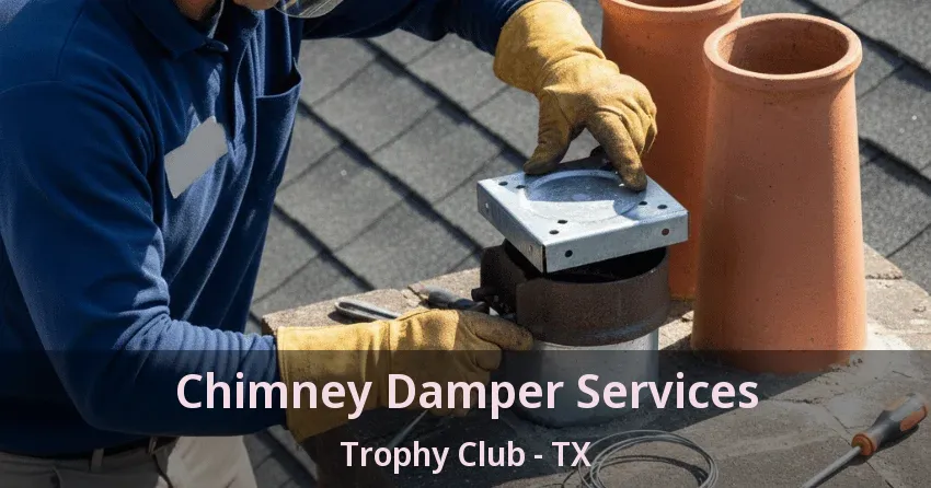 Chimney Damper Services Trophy Club - TX