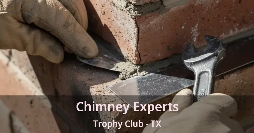 Chimney Experts Trophy Club - TX