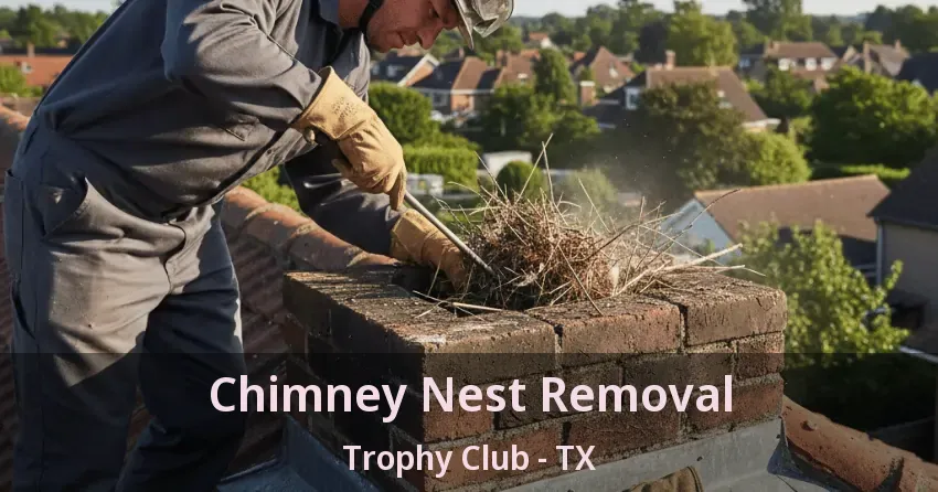 Chimney Nest Removal Trophy Club - TX