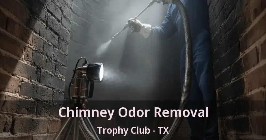 Chimney Odor Removal Trophy Club - TX