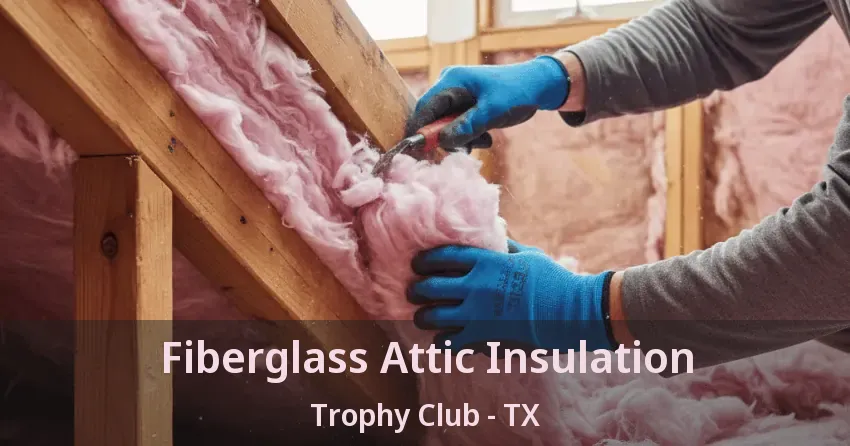 Fiberglass Attic Insulation Trophy Club - TX