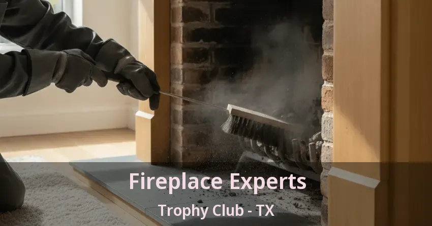 Fireplace Experts Trophy Club - TX