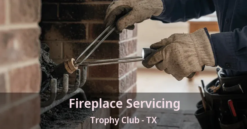 Fireplace Servicing Trophy Club - TX