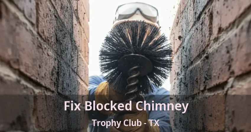 Fix Blocked Chimney Trophy Club - TX