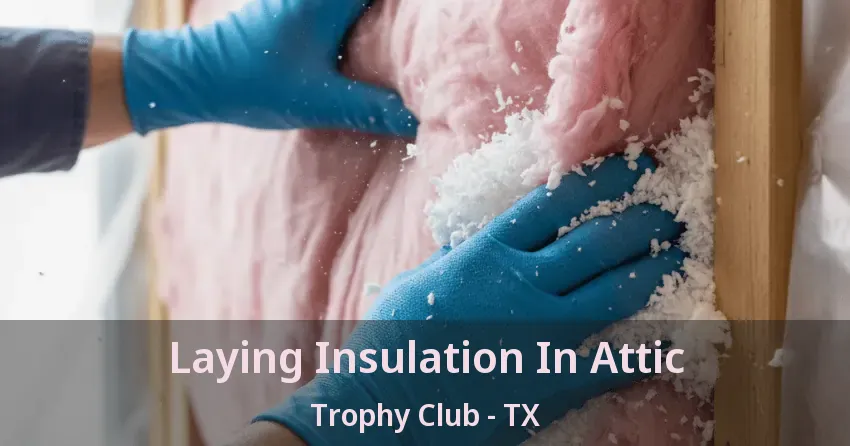 Laying Insulation In Attic Trophy Club - TX