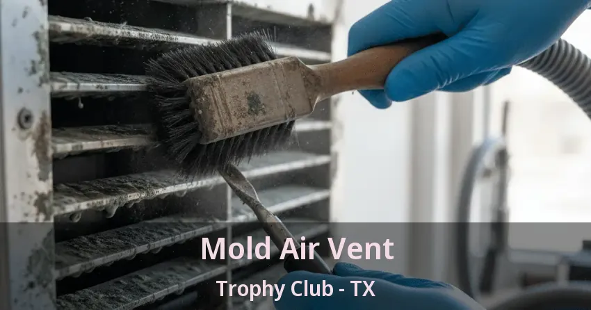 Mold Air Vent Trophy Club - TX Mold Air Vent Trophy Club - TX