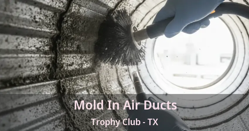 Mold In Air Ducts Trophy Club - TX