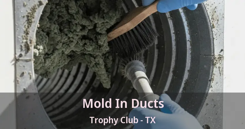 Mold In Ducts Trophy Club - TX