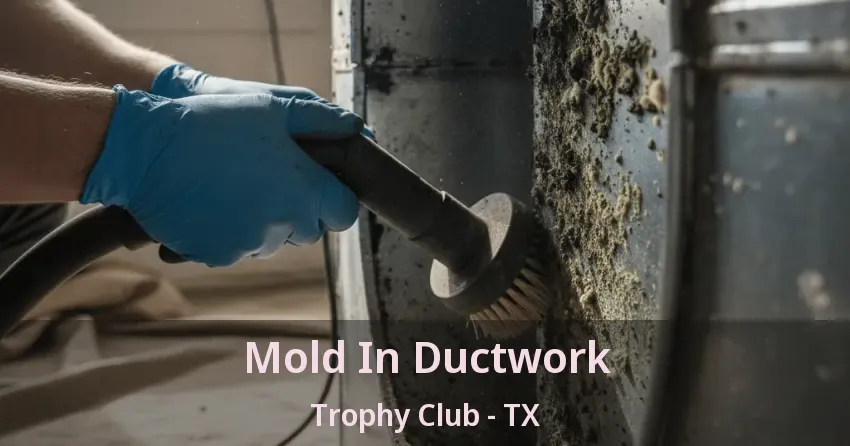 Mold In Ductwork Trophy Club - TX Mold In Ductwork Trophy Club - TX