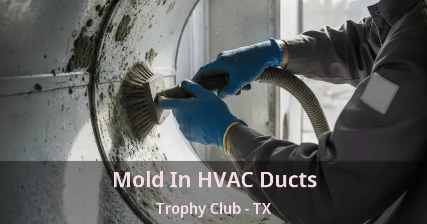 Mold In HVAC Ducts Trophy Club - TX Mold In HVAC Ducts Trophy Club - TX