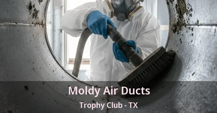 Moldy Air Ducts Trophy Club - TX